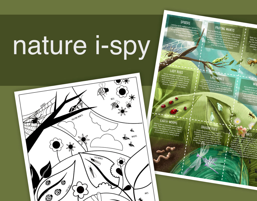 HP Sustainability Printables: Beneficial Bugs i-spy