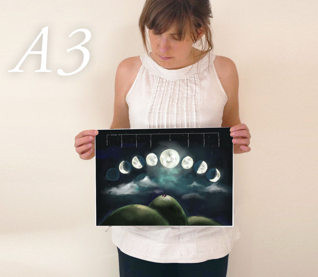 Moon Phases Educational Poster