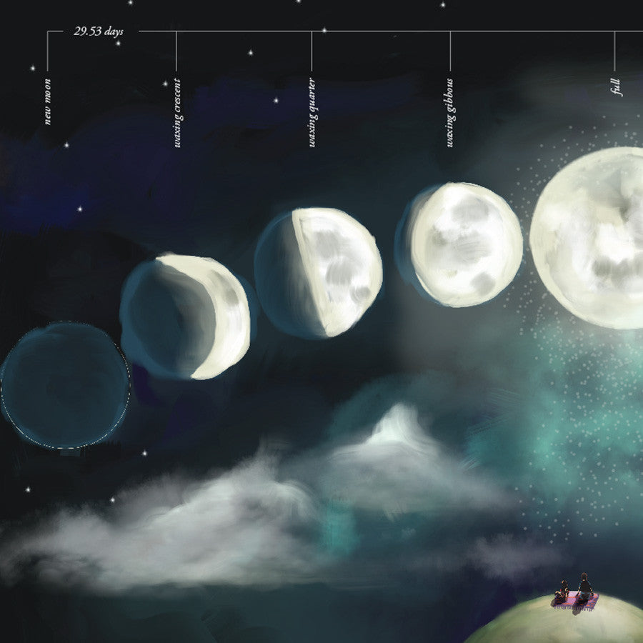 Moon Phases Educational Wall Sticker
