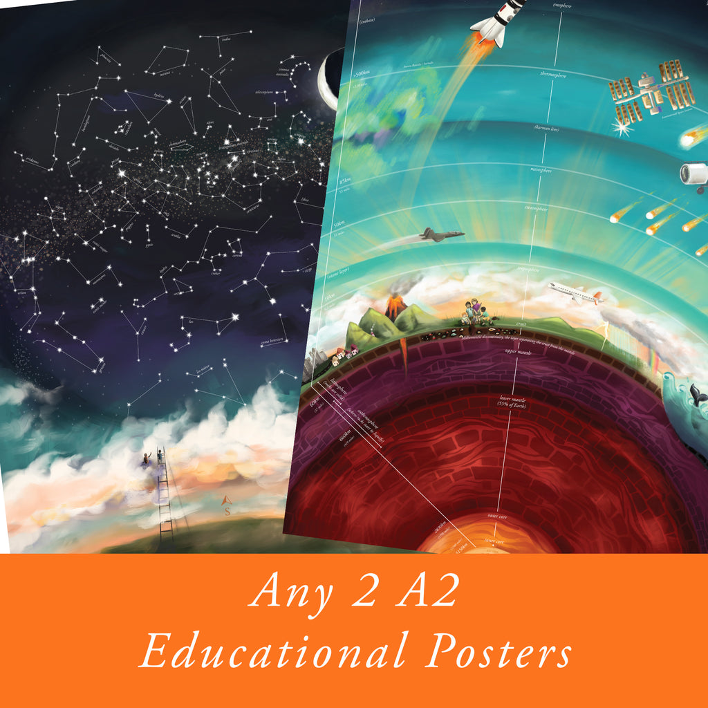 Any 2 x A2 / 16x20 Educational Posters