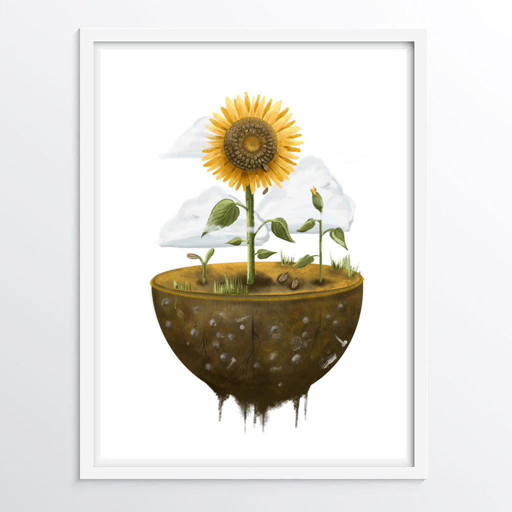 Life Cycle Series - Sunflowers