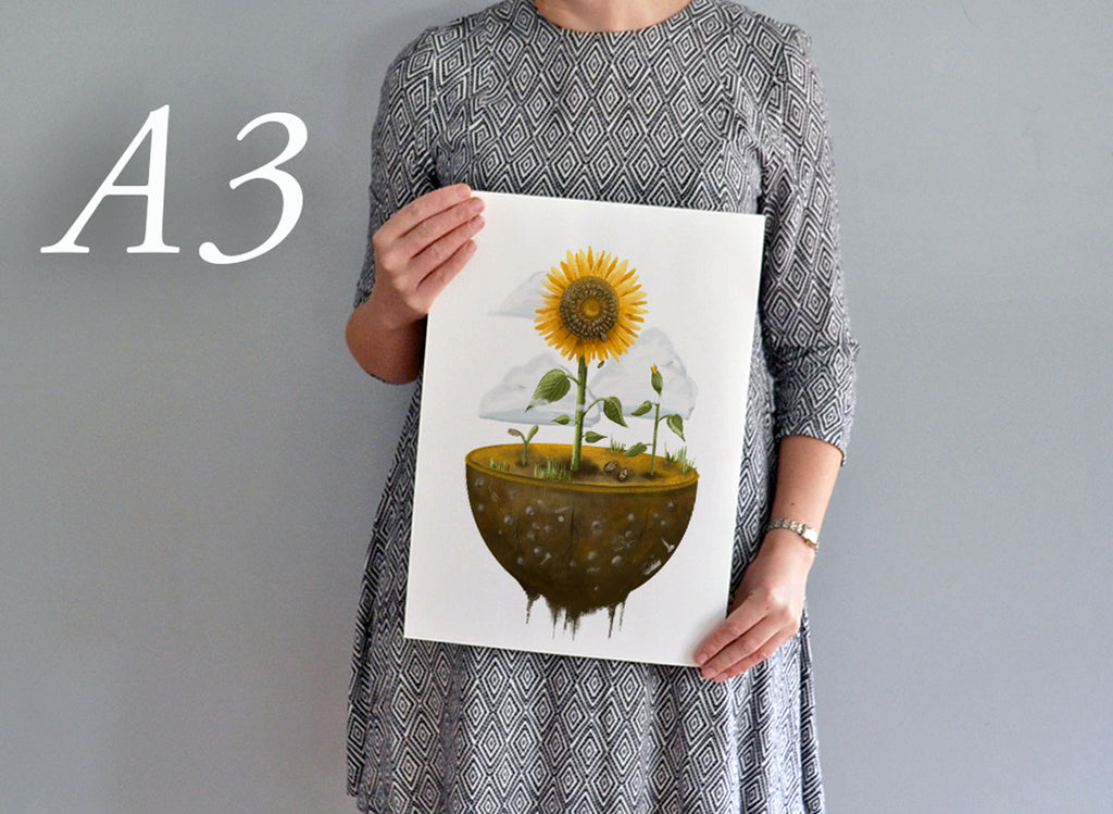 Life Cycle Series - Sunflowers