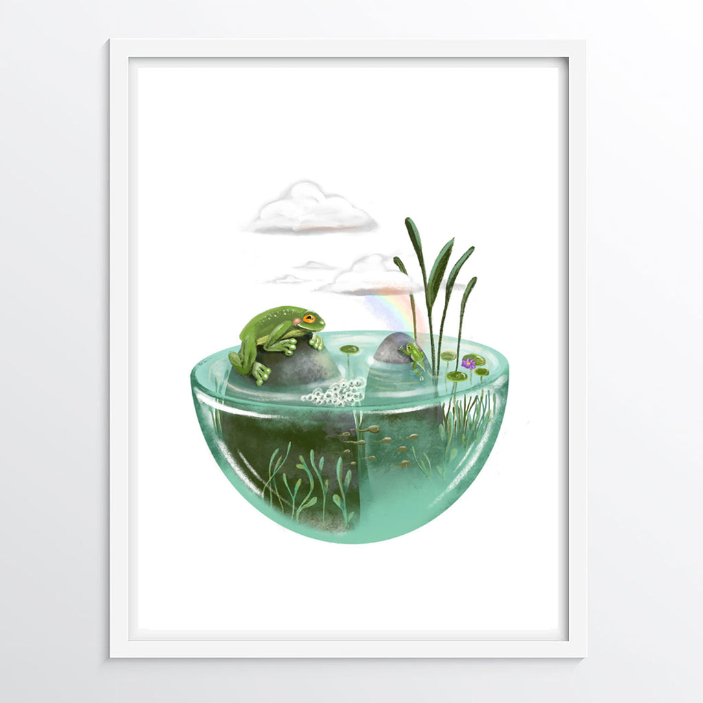 Life Cycle of Frogs - biological science art poster for kids