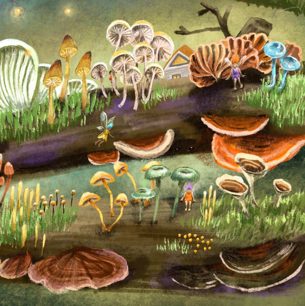 Australian Fungi poster